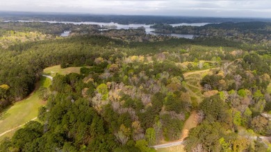 PUBLIC ONLINE AUCTION - 90 plus acres located on Lay Lake in - photo 18