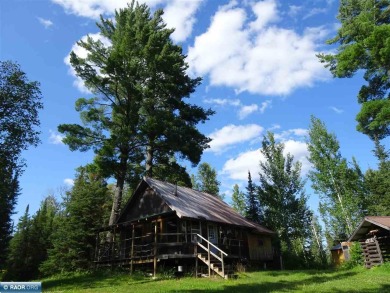 Lake Home For Sale in Tower, Minnesota