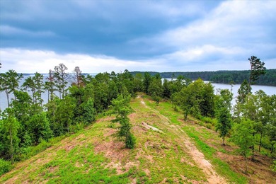 Unparalleled in the Southeast, 520 Abundance Way offers 2.89 - photo 14