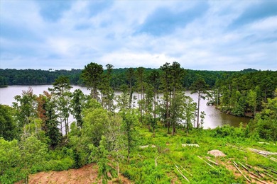 Unparalleled in the Southeast, 520 Abundance Way offers 2.89 - photo 16