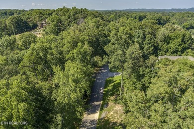 Experience the ultimate lakeside lifestyle on this stunning - photo 3