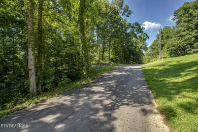 Experience the ultimate lakeside lifestyle on this stunning - photo 4