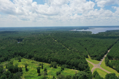 Lake O The Pines Acreage For Sale in Jefferson Texas