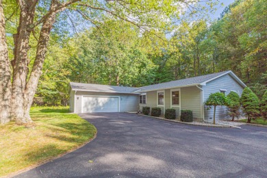 Lake Home For Sale in Canadian Lakes, Michigan