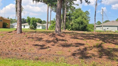 0.23-acre residential lot located in the desirable Port Malabar - photo 1