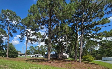 0.23-acre residential lot located in the desirable Port Malabar - photo 2
