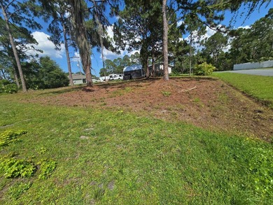 0.23-acre residential lot located in the desirable Port Malabar - photo 3