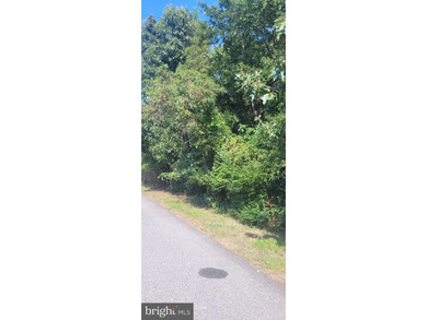 (private lake, pond, coastal) Lot For Sale in Issue Maryland