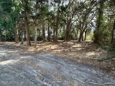 Oversized vacant lot in the heart of Fernandina Beach on Amelia - photo 1