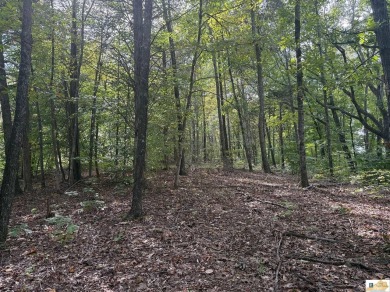 Lake Acreage For Sale in Cub Run, Kentucky