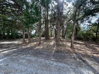 Oversized vacant lot in the heart of Fernandina Beach on Amelia - photo 2
