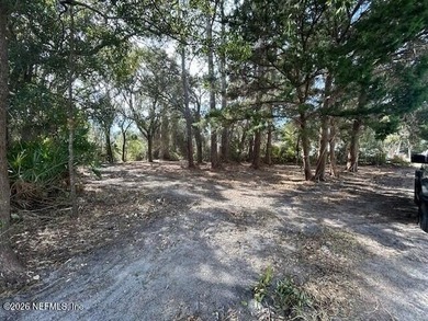 Oversized vacant lot in the heart of Fernandina Beach on Amelia - photo 3