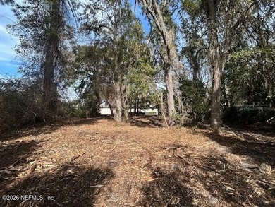 Oversized vacant lot in the heart of Fernandina Beach on Amelia - photo 4
