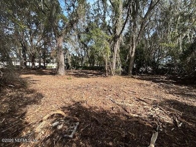 Oversized vacant lot in the heart of Fernandina Beach on Amelia - photo 5