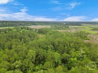 Discover an unparalleled opportunity with this expansive 78 - photo 6