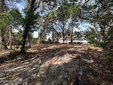Oversized vacant lot in the heart of Fernandina Beach on Amelia - photo 6
