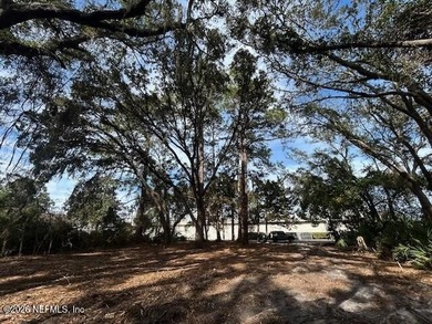Oversized vacant lot in the heart of Fernandina Beach on Amelia - photo 7