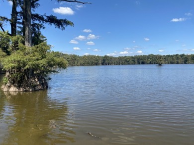 Lake Home For Sale in Helena, Arkansas