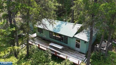 Lake Home For Sale in Crane Lake, Minnesota