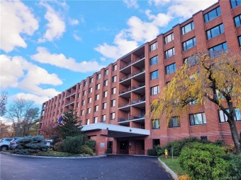 Hudson River - Westchester County Apartment For Sale in Ossining New York