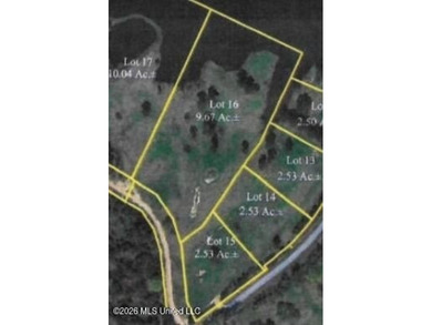 Ready to build your dream home? You must checkout this beautiful - photo 1