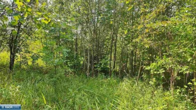 Lake Lot For Sale in Orr, Minnesota