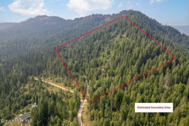 Priest Lake Acreage For Sale in Priest River Idaho