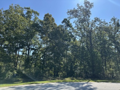Lake Lot For Sale in Lincolnton, Georgia