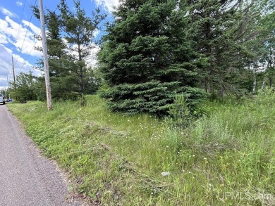 Lake Lot For Sale in Michigamme, Michigan