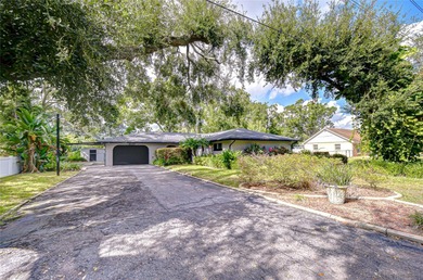 Lake Home For Sale in Tampa, Florida