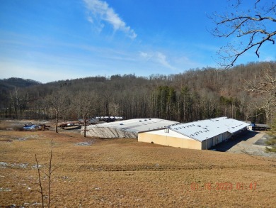 Tygart Valley River - Taylor County Commercial For Sale in Grafton West Virginia