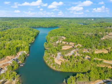 LAKE FRONT BUILDING LOT WITH PRIVATE DOCK & HOUSE SEAT - photo 19