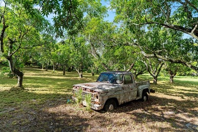 Introducing The Hatcher Mango Farm at 1908 Hypoluxo Road - photo 9