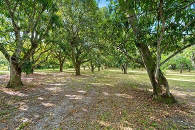 Introducing The Hatcher Mango Farm at 1908 Hypoluxo Road - photo 10