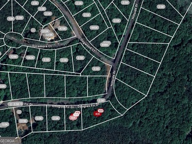 Enjoy the Lake Arrowhead Lifestyle in One of North Georgia's - photo 2