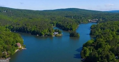 Enjoy the Lake Arrowhead Lifestyle in One of North Georgia's - photo 10