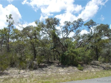 Rush Lake Lot For Sale in Citrus Springs Florida