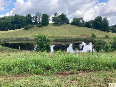 (private lake, pond, creek) Acreage For Sale in Hestand Kentucky