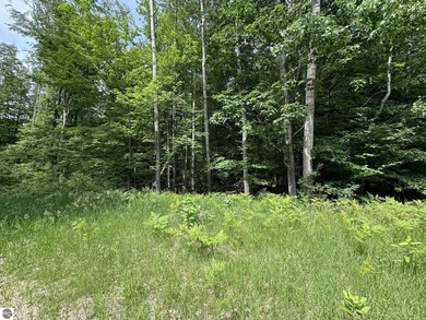 Welcome to the scenic Rose Lake Forest Development, a hidden gem - photo 1