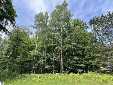 Welcome to the scenic Rose Lake Forest Development, a hidden gem - photo 4