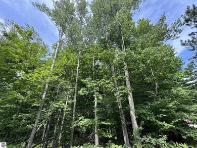 Welcome to the scenic Rose Lake Forest Development, a hidden gem - photo 5