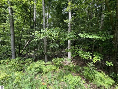 Welcome to the scenic Rose Lake Forest Development, a hidden gem - photo 6