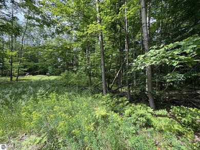 Welcome to the scenic Rose Lake Forest Development, a hidden gem - photo 7