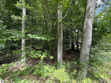 Welcome to the scenic Rose Lake Forest Development, a hidden gem - photo 8