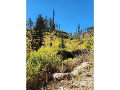 (private lake, pond, creek) Acreage For Sale in Featherville Idaho