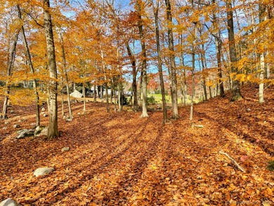 10.22 acres charming equine farm located right on Newtown bridle - photo 33