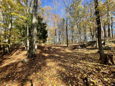 10.22 acres charming equine farm located right on Newtown bridle - photo 34
