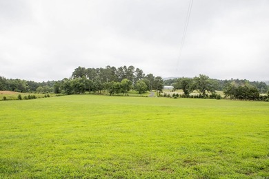 This peaceful inviting property truly feels like Home- offering - photo 37