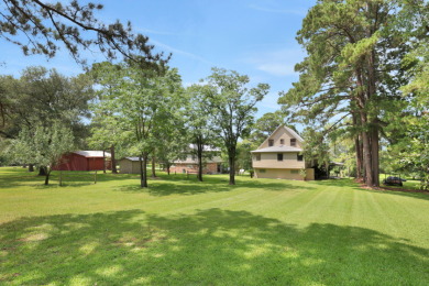 Sunroom Views & Space to Roam - photo 35