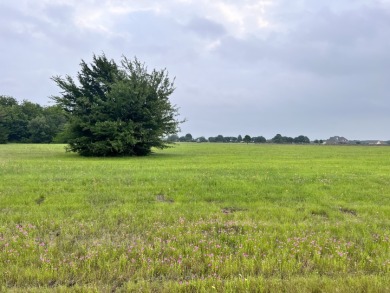 Lake Lot For Sale in Corsicana, Texas